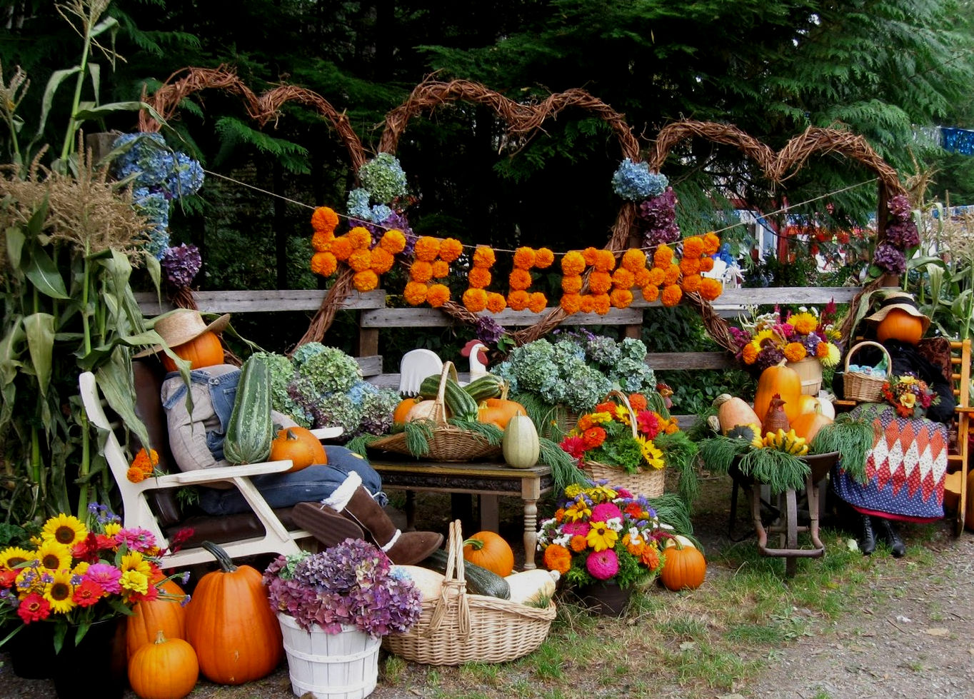 Farm cover
